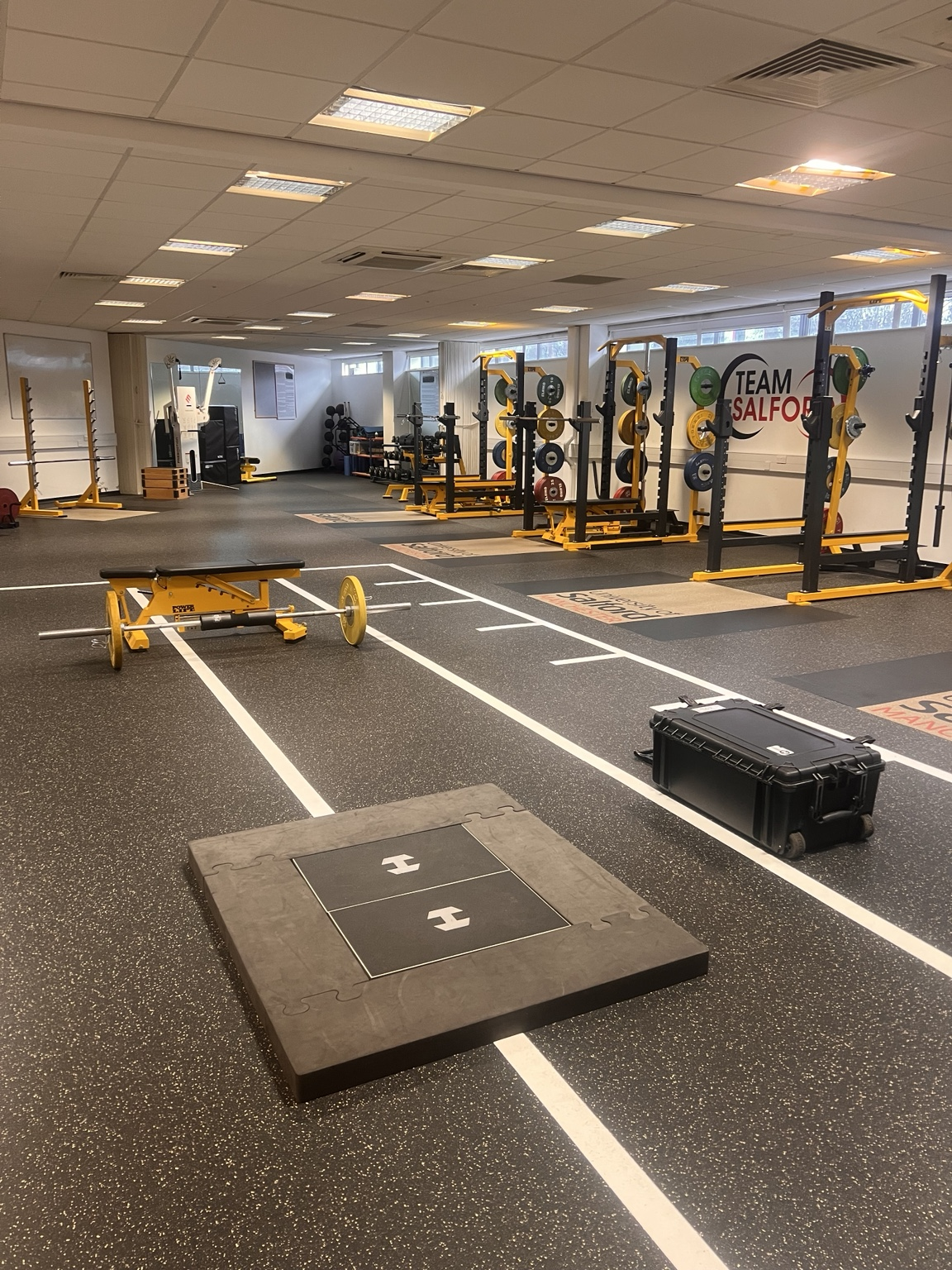 Strength and rehabilitation training gym